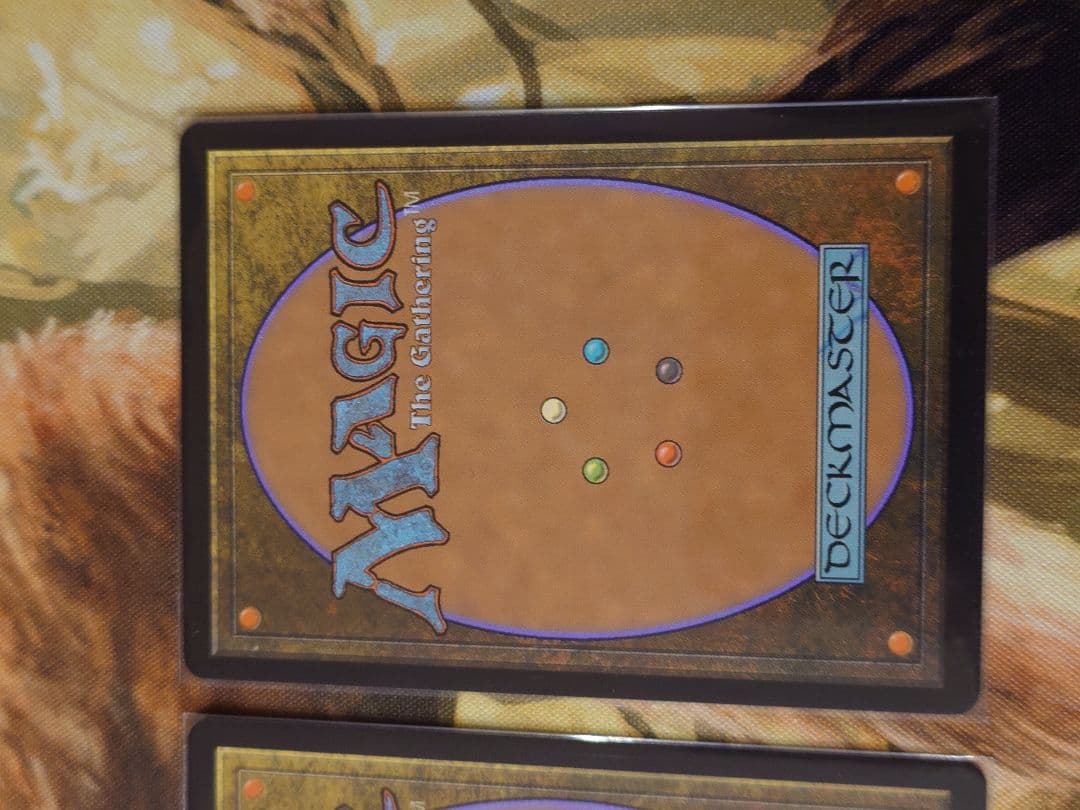 オセロットの群れ　ボーダーレス　2枚セット　日