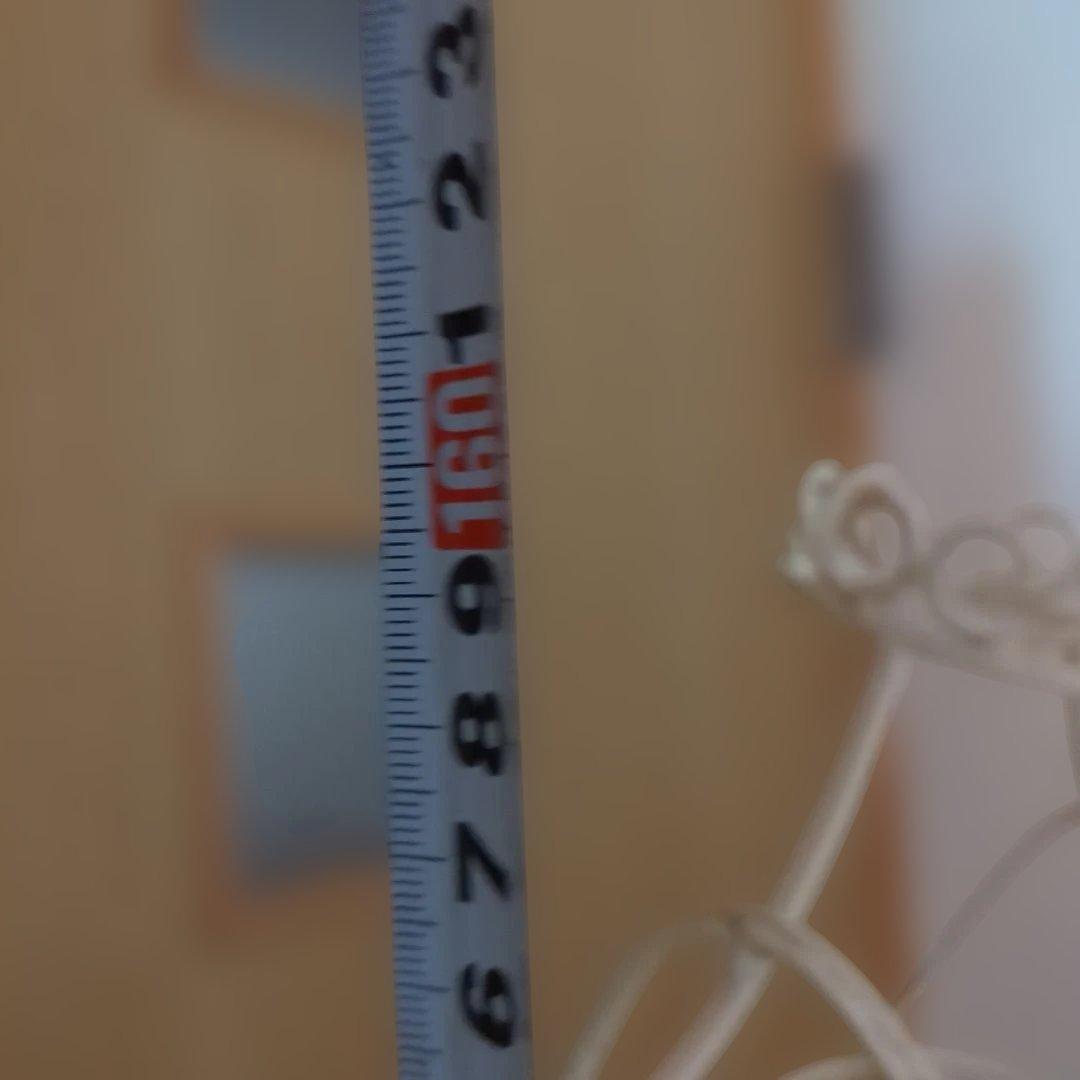 アイアン製レディーストルソー