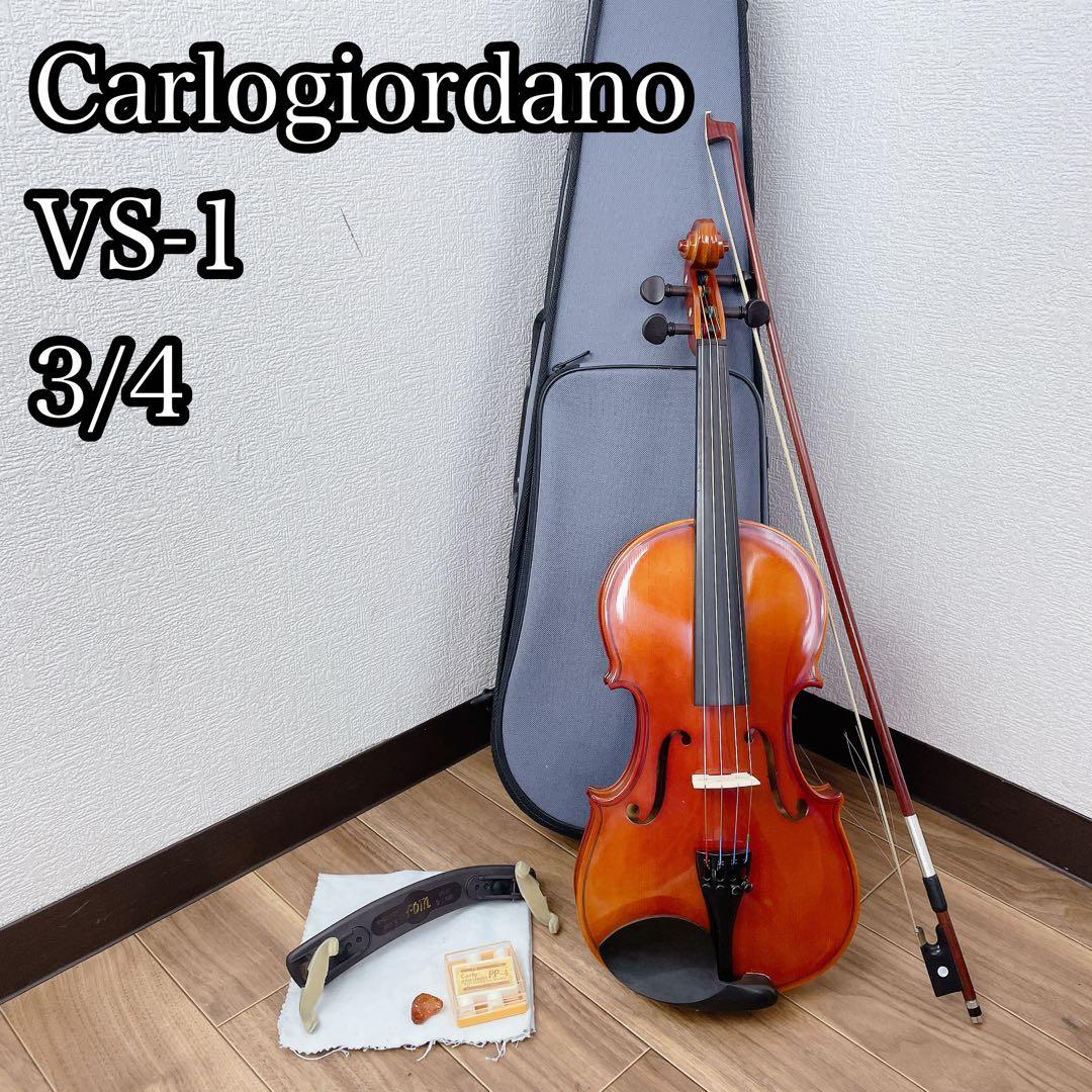 Carlogiordano vs-1 3/4 バイオリン