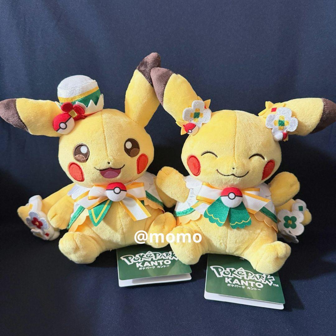 ポケパークカントー カーニバル衣装 ピカチュウ ぬいぐるみ