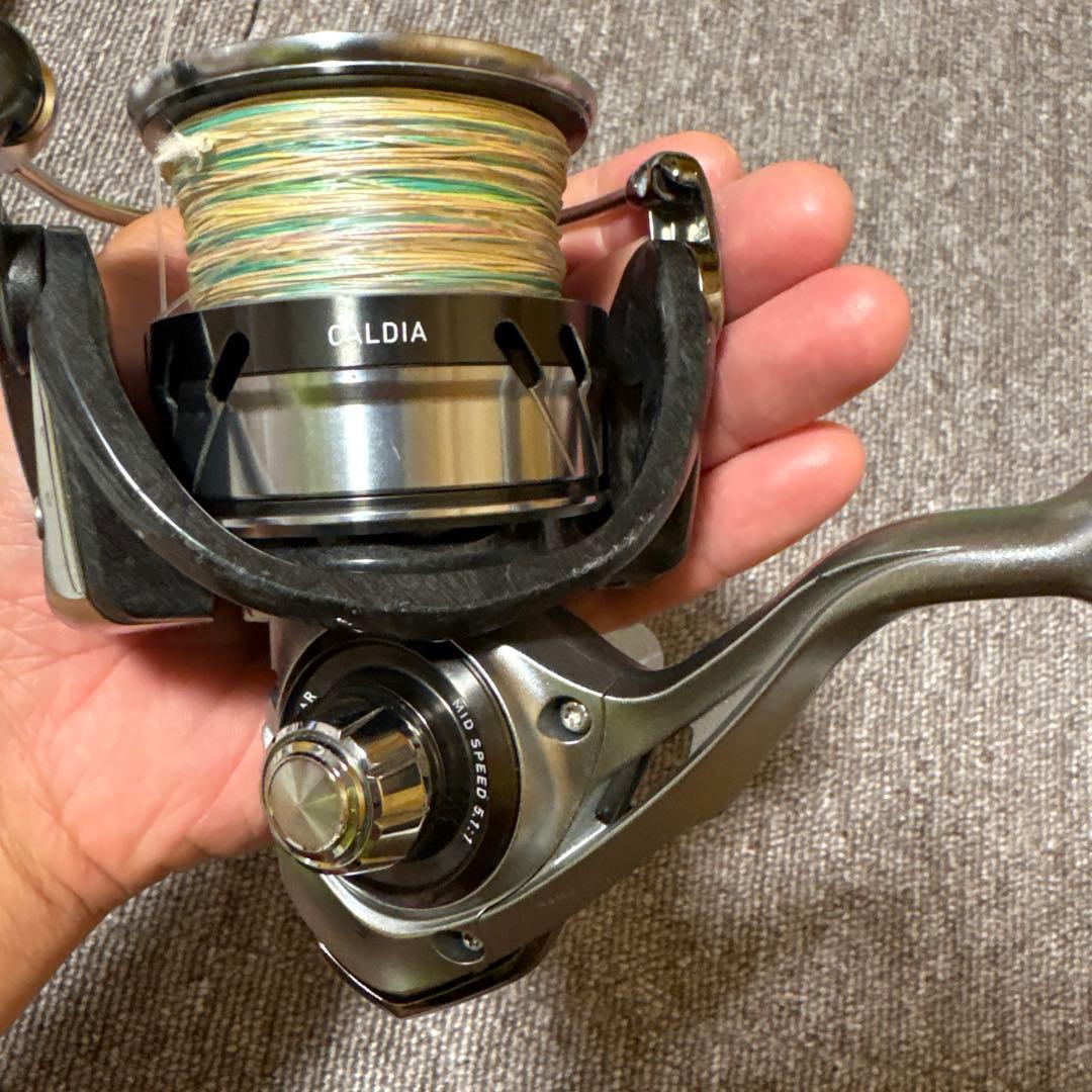 ダイワ カルディLT6000Dスピニングリール