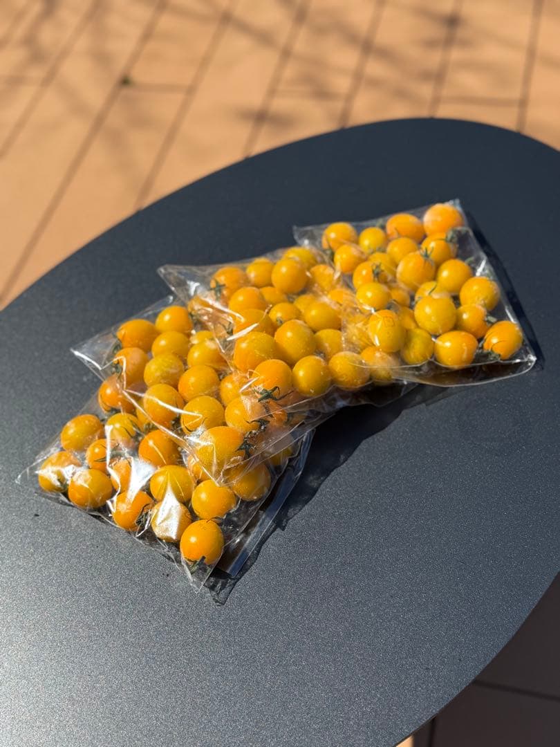 冷凍トマト ミニトマト イエローミミ 業務用 加工用 10kg