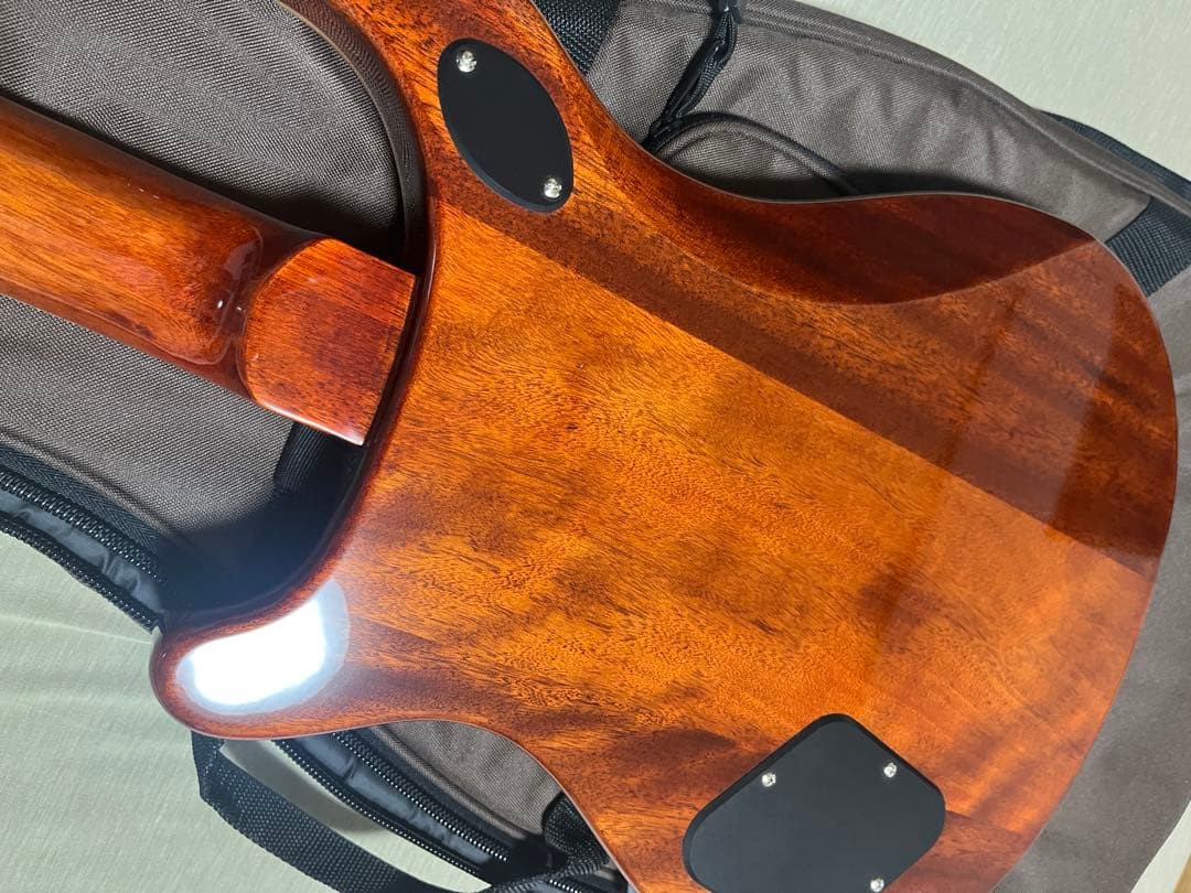 ※ヒロ　　PRS SE McCarty 594