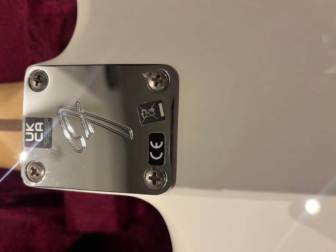 FENDER Player Stratocaster ハードケース付き