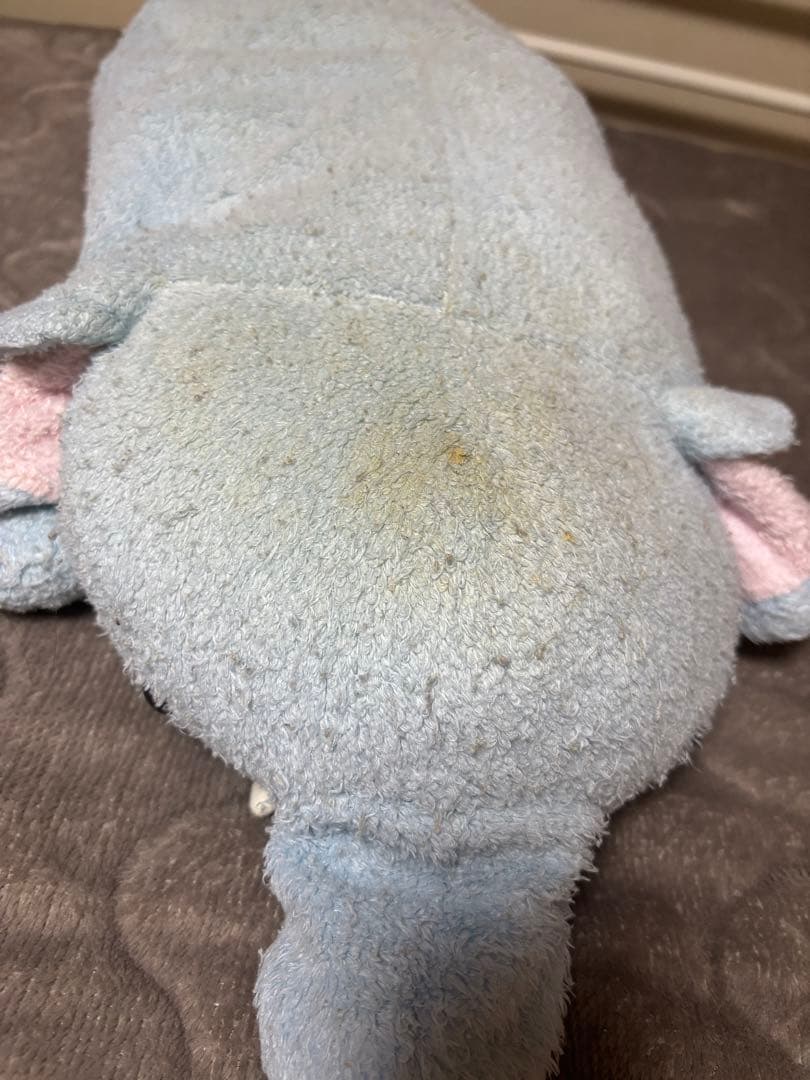 フリッカ 象 ぬいぐるみ