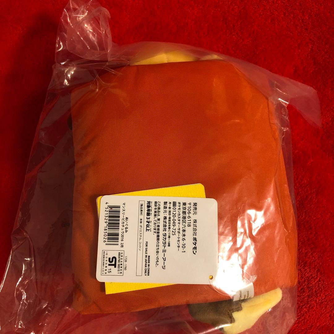 ポケモンセンター　マンスリーピカチュウ　2016 2月