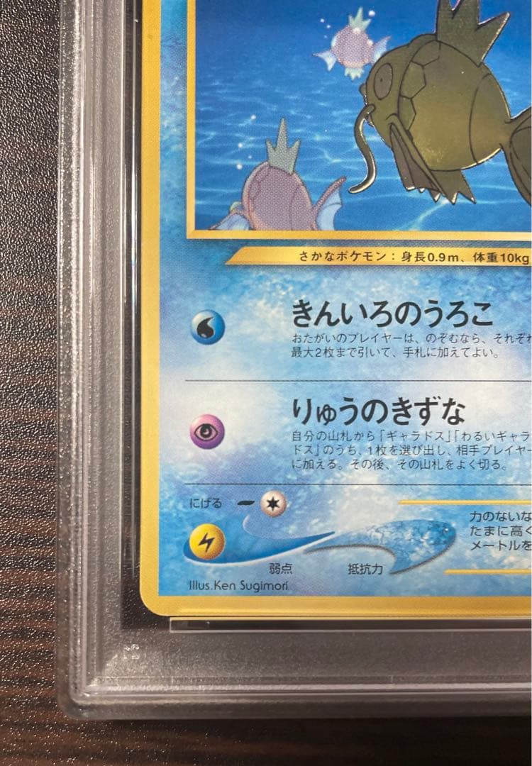 ひかるコイキング「ポケモンファンクラブ」 特製プロモ