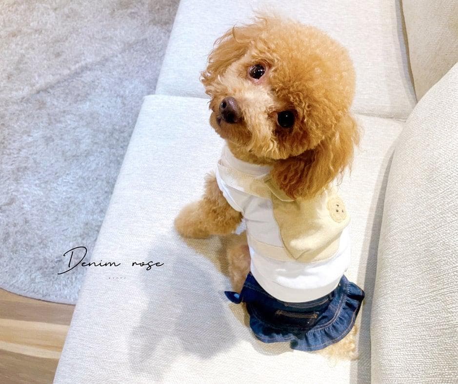 DENIM ROSE ワッペンデニムスカート