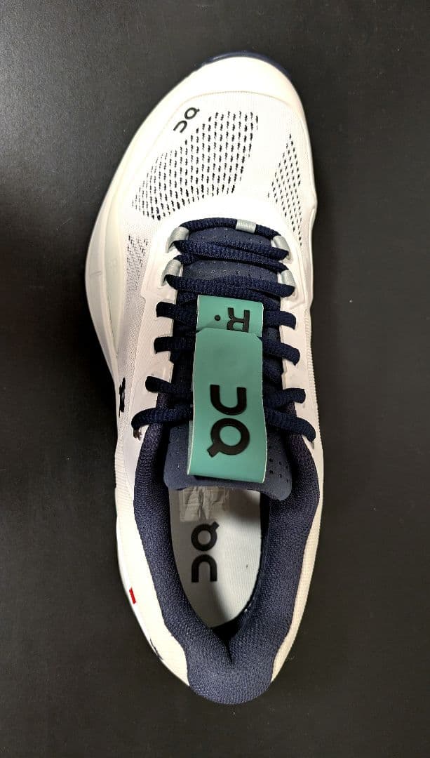 未使用On Running The Roger Pro 限定カラー_27.5cm