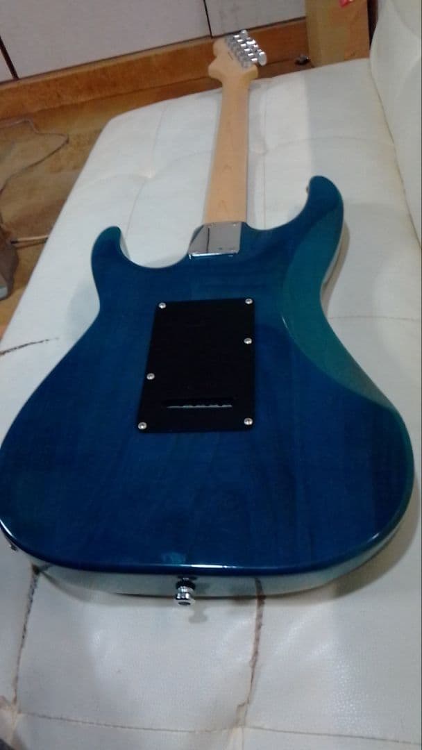 ギター Grassroots SNAPPER