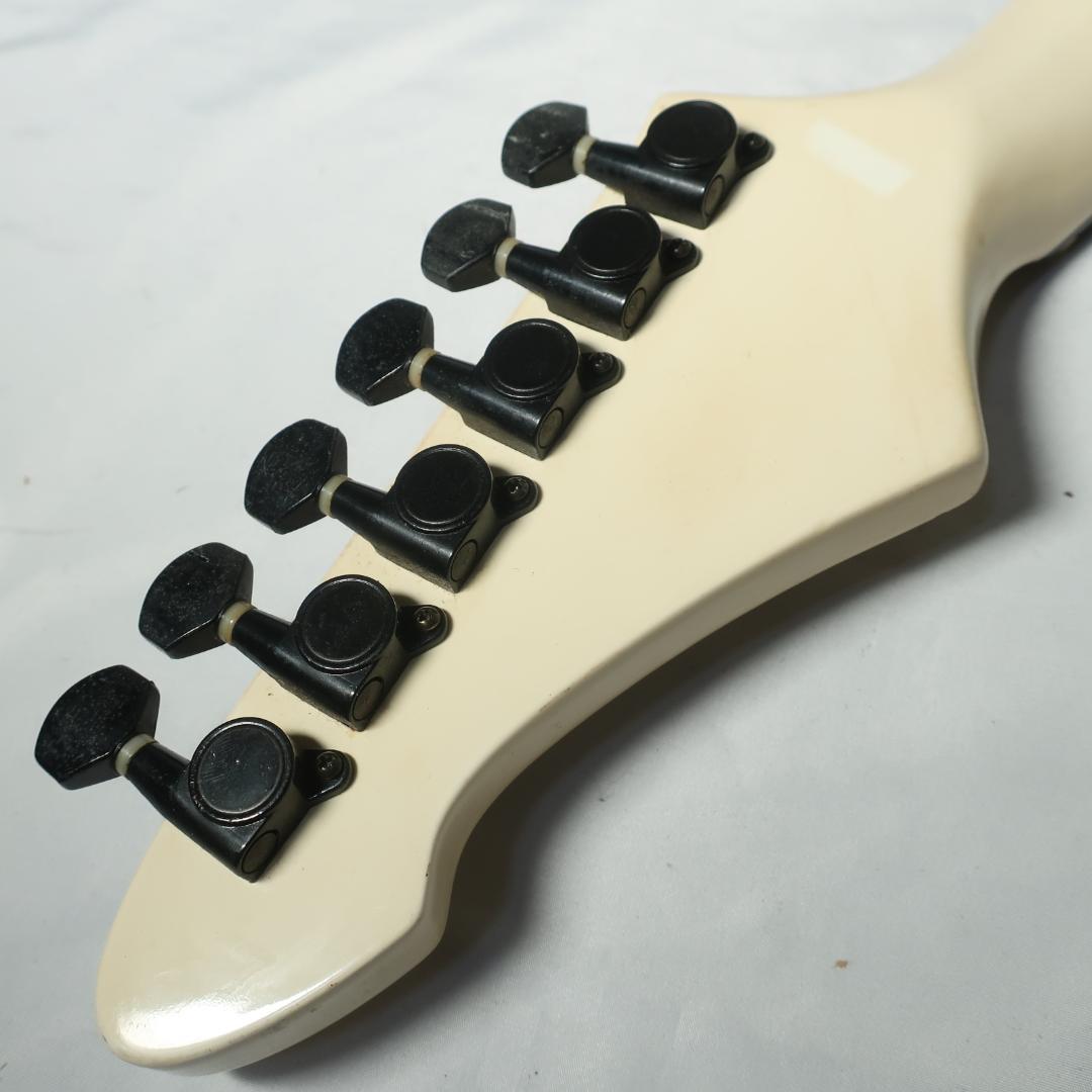 Black Dog by Aria ProⅡ ギター ケース付 コイルタップ搭載