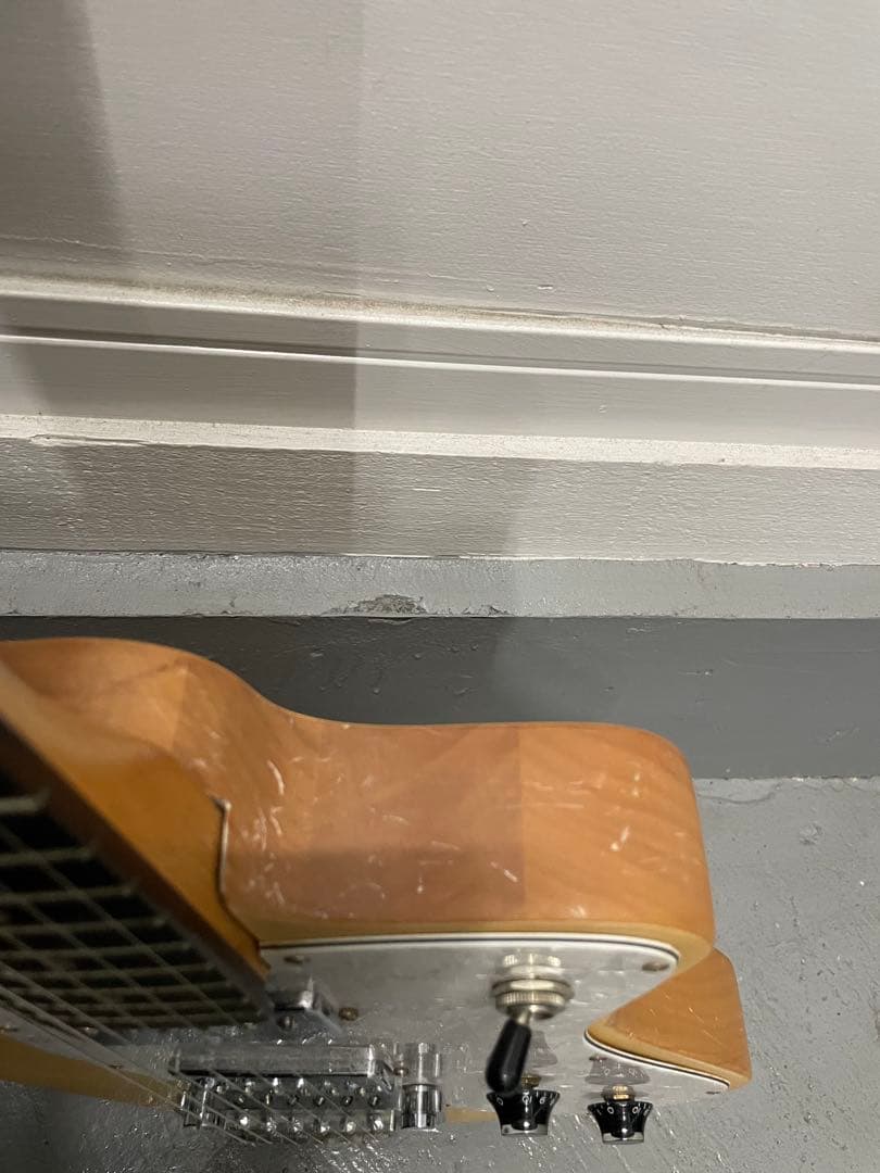 Burny H ナチュラル　シャチ