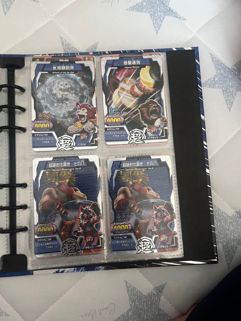 アニマルカイザー　まとめ売り