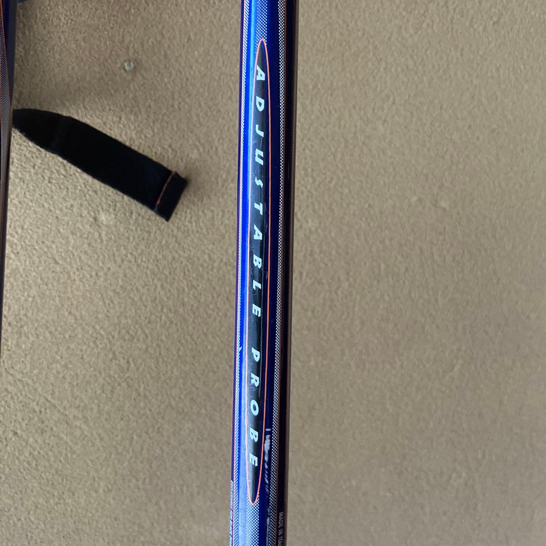  バックカントリー　スキー　2段伸縮ストック