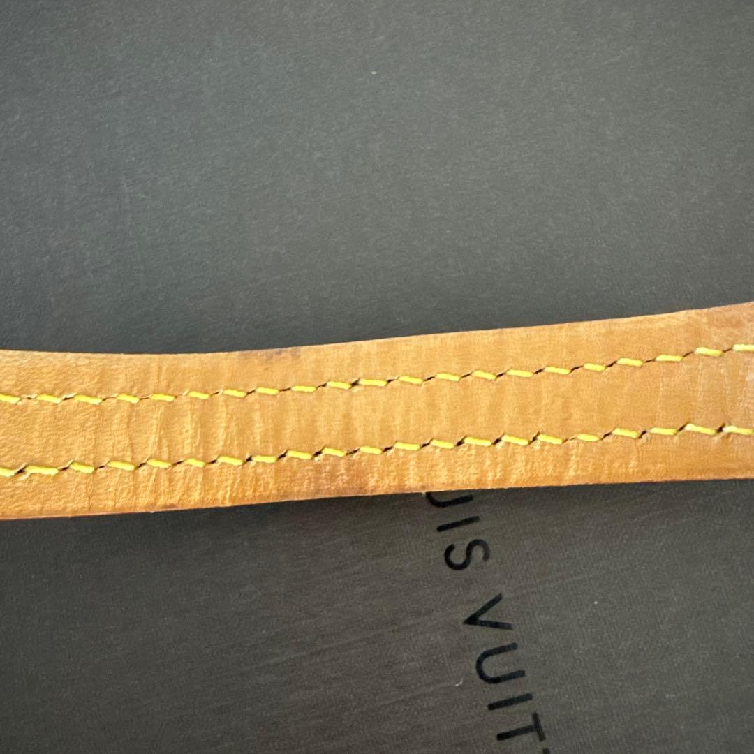 LOUIS VUITTON ルイ・ヴィトン　ドックリード&首輪　セット