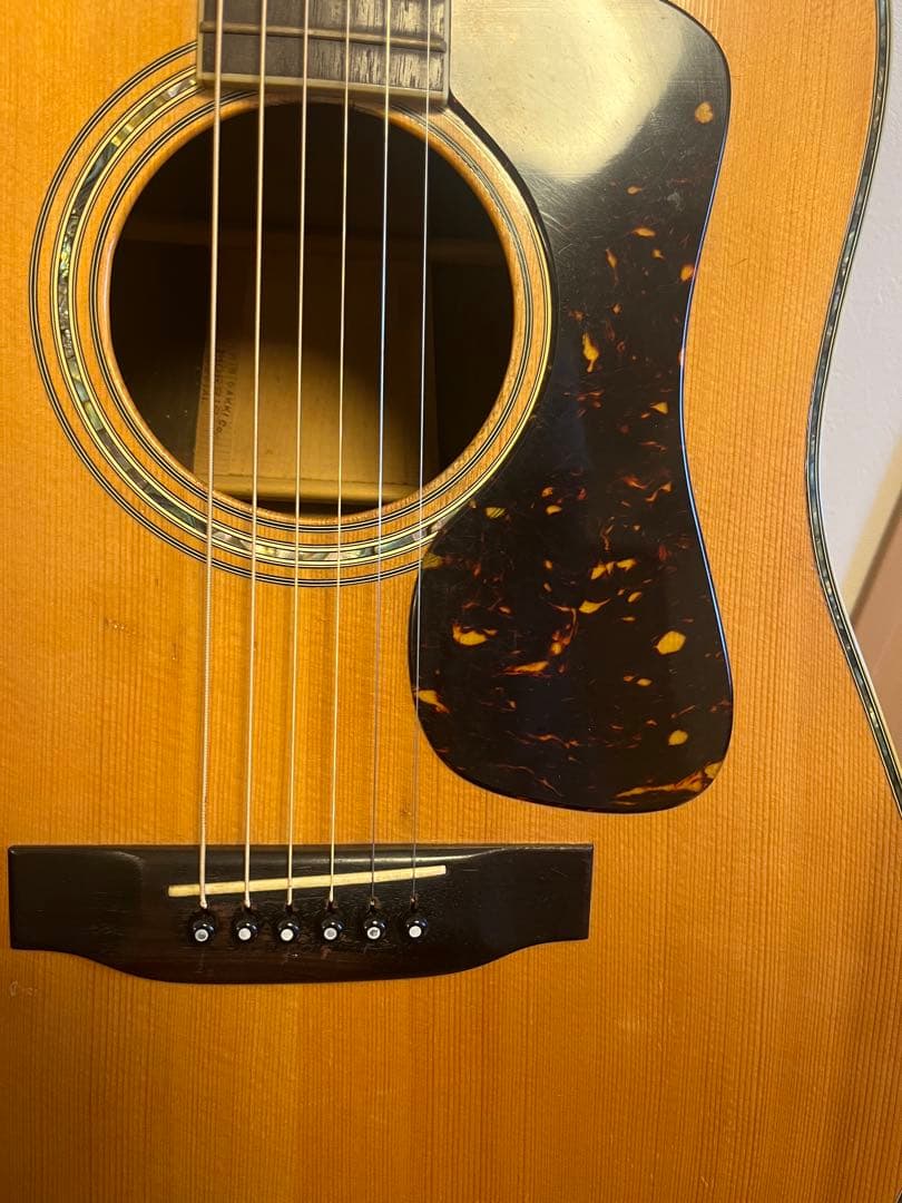 MORRIS Special 60 ハカランダサイドバック