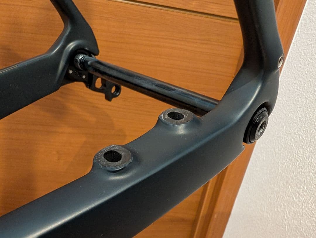 Acacia koaさま専用ページTREK DOMANE SL5 2020モデル