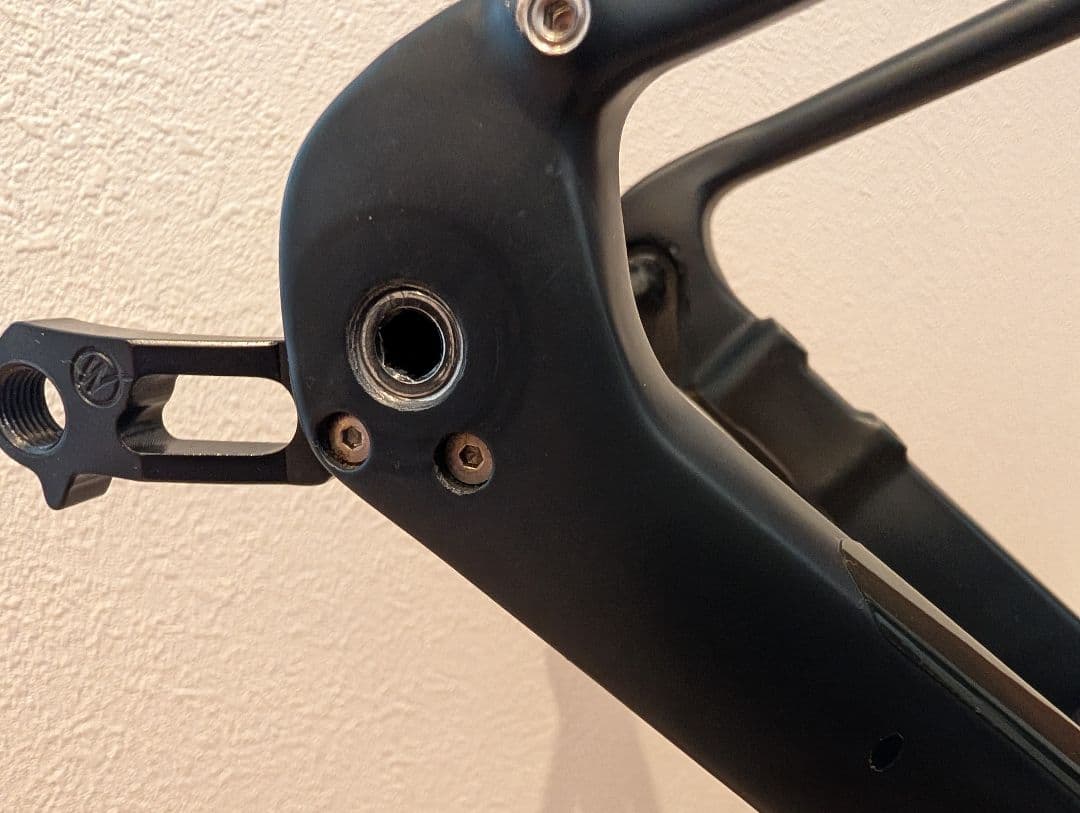 Acacia koaさま専用ページTREK DOMANE SL5 2020モデル