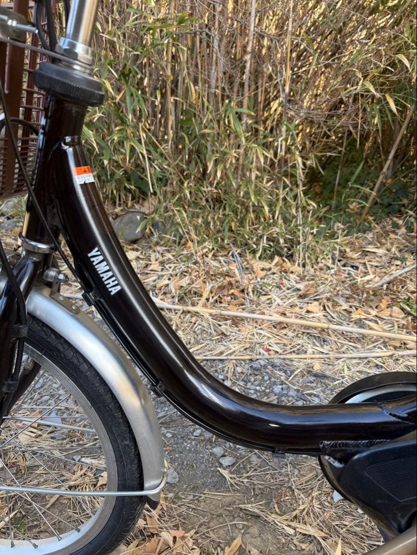 電動アシスト自転車 ブラック シティタイプ