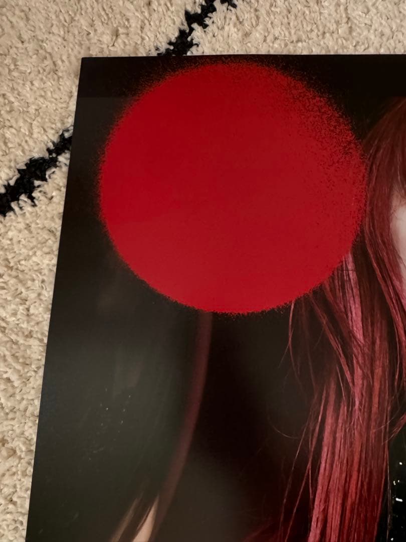 【美品】LiSA 直筆サイン入りポスター LADYBUG