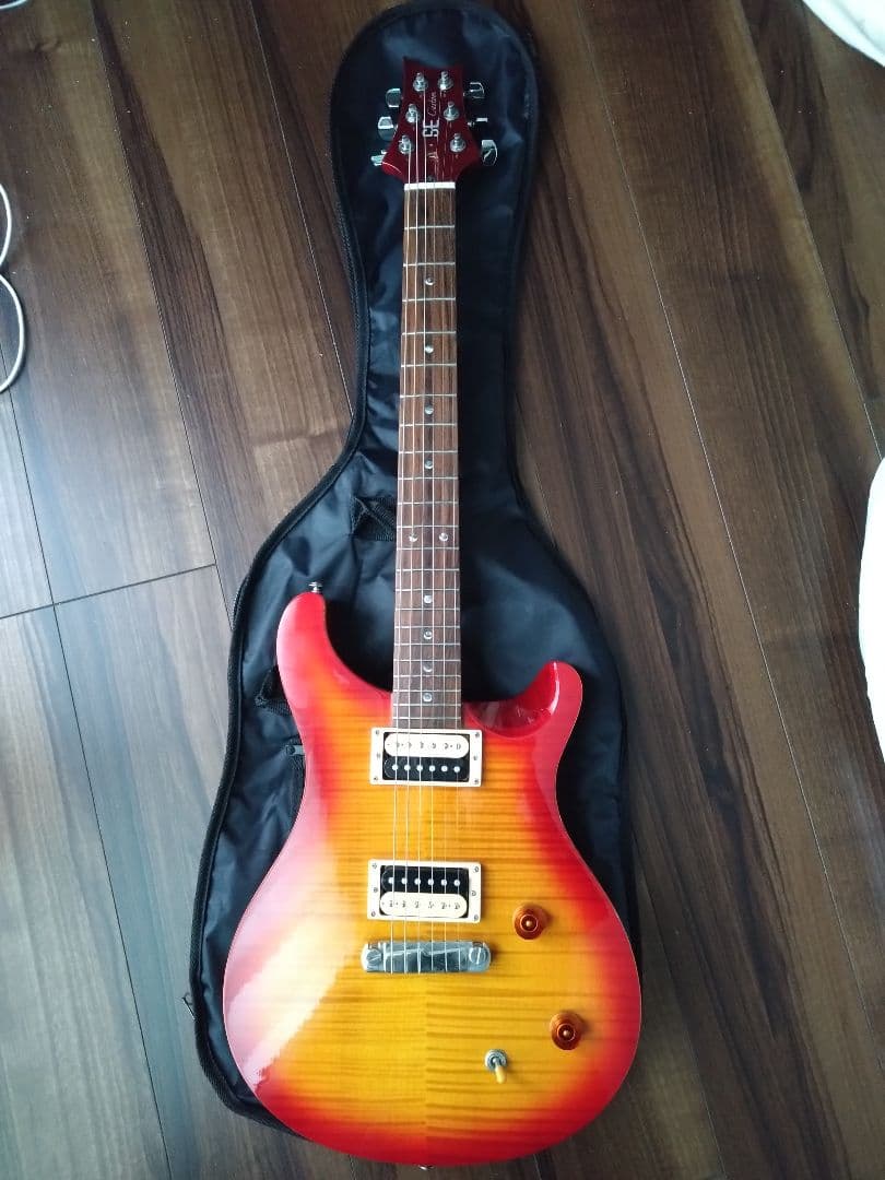 ギター Paul Reed Smith PRS SE Custom