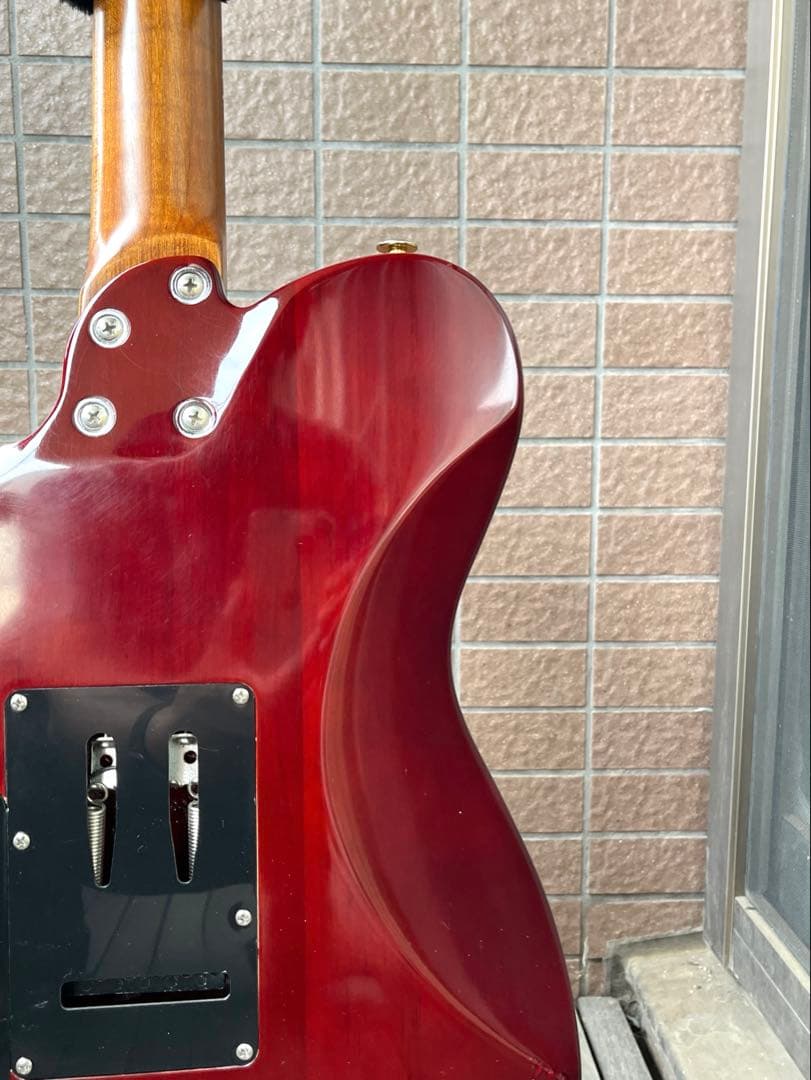 【動作◯】 Harley Benton Pro Series テレキャス