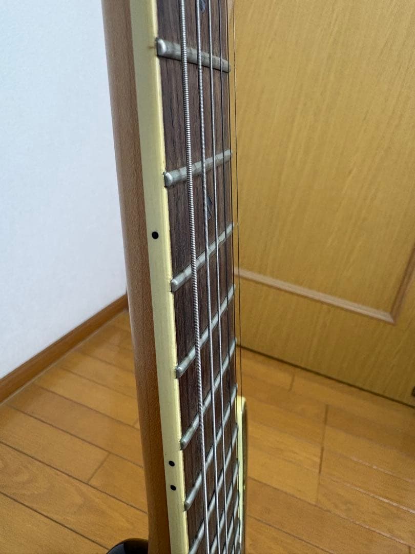 Ibanez ギター　 SA360 QM ソフトケース付き
