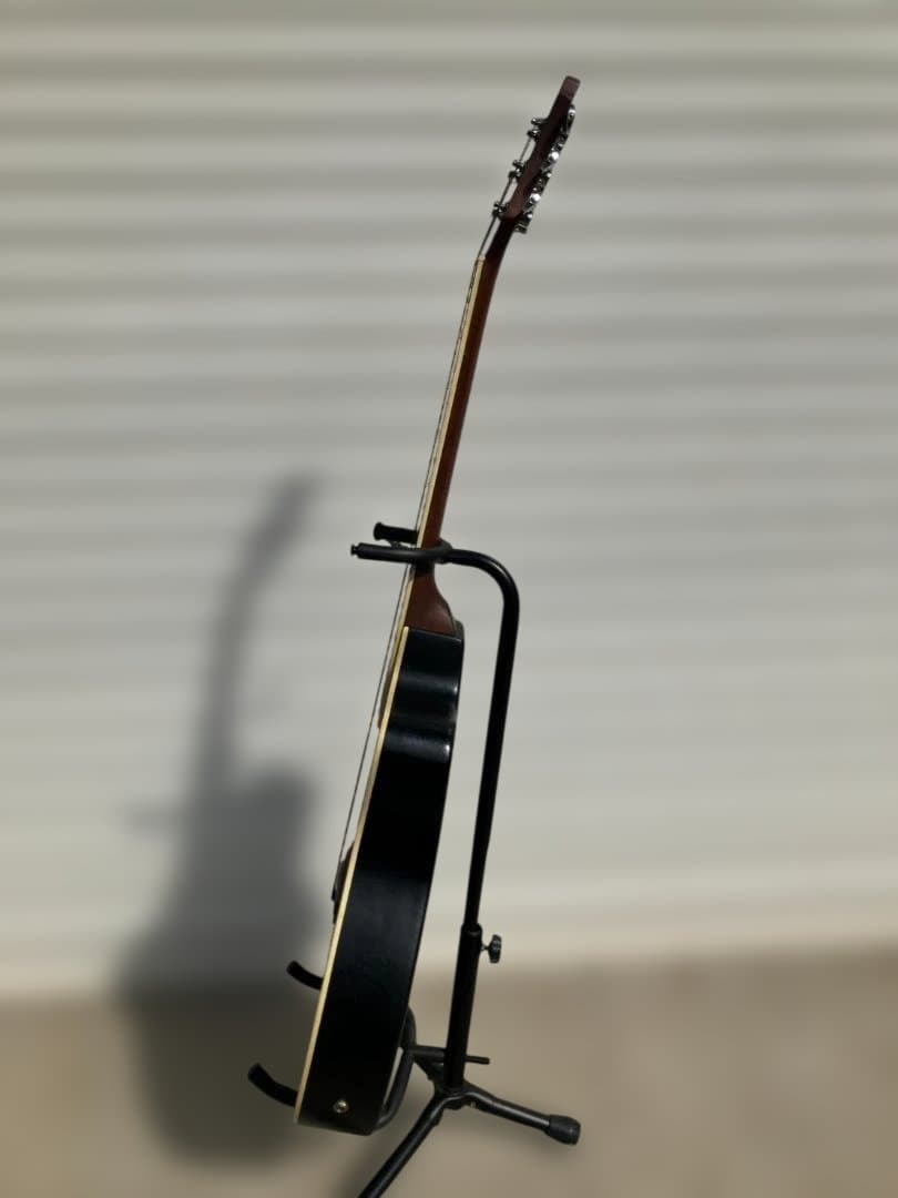 ARIA アコースティックギターケースなし本体のみ