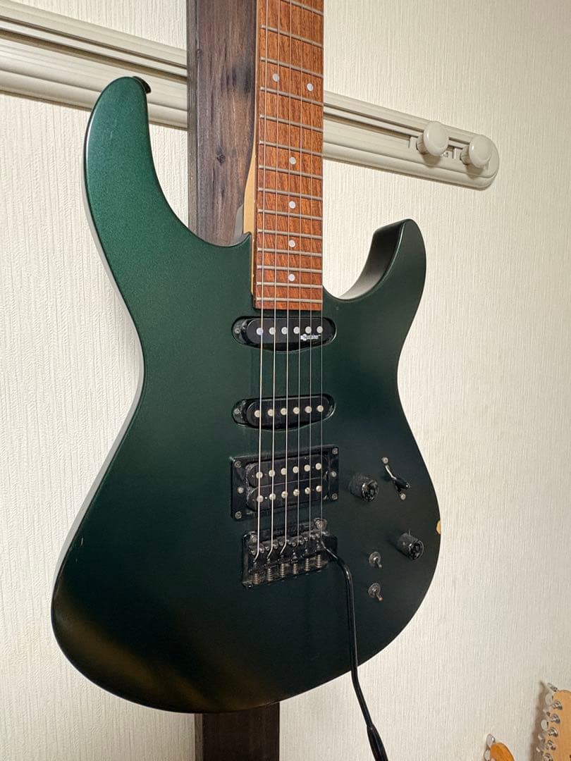 FERNANDES エレキギター サスティナー搭載モデル