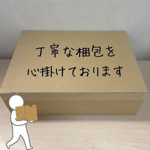 スティッチ 抱きまくら ぬいぐるみ クッション リロ＆スティッチ 【東京ディズp