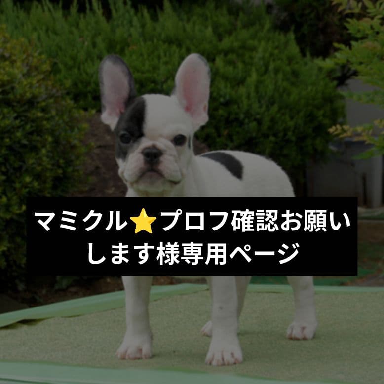 マミクル⭐プロフ確認お願いしますページ