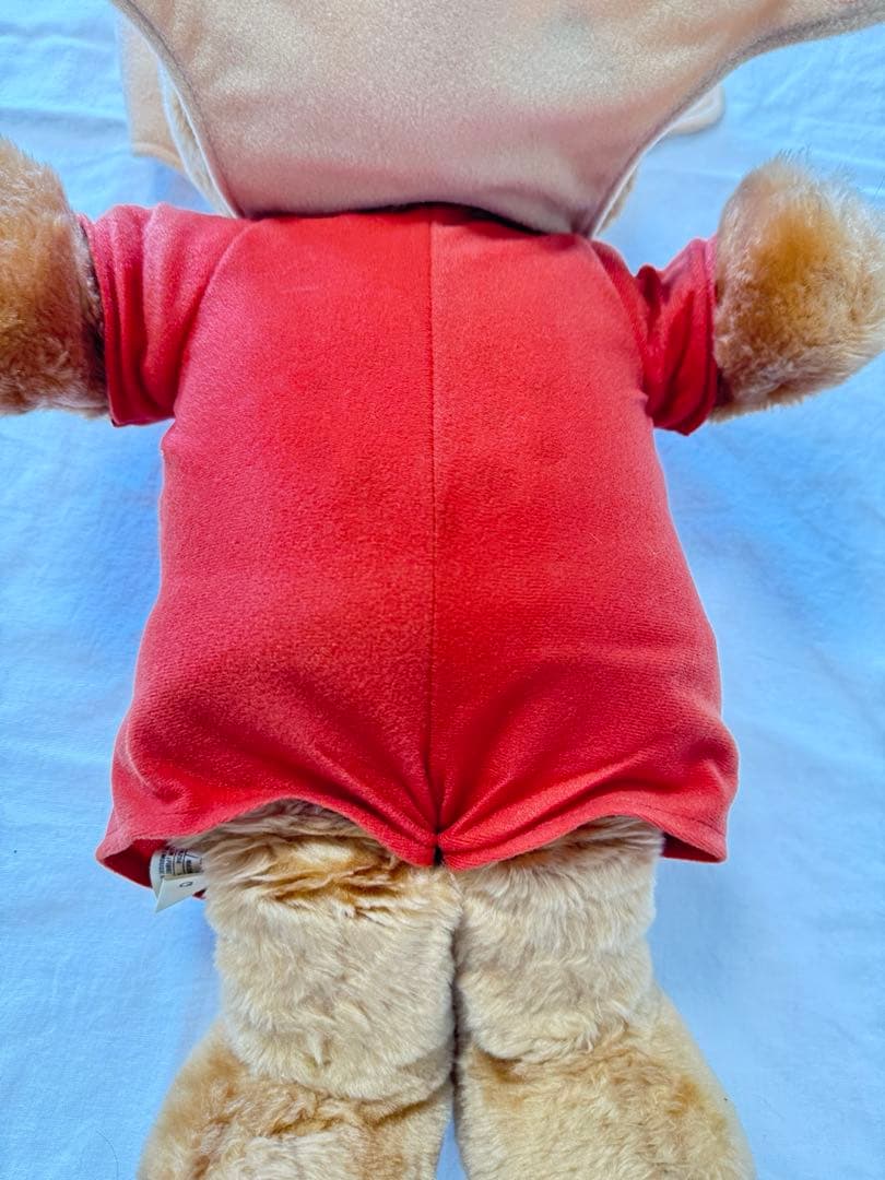 N*k様 テディラクスピン 本体、絵本２冊、カセットテープ２枚 昭和レ