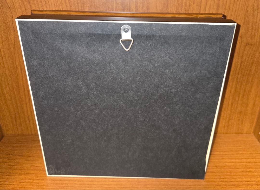 【外国産蝶標本】ゴライアストリバネアゲハ