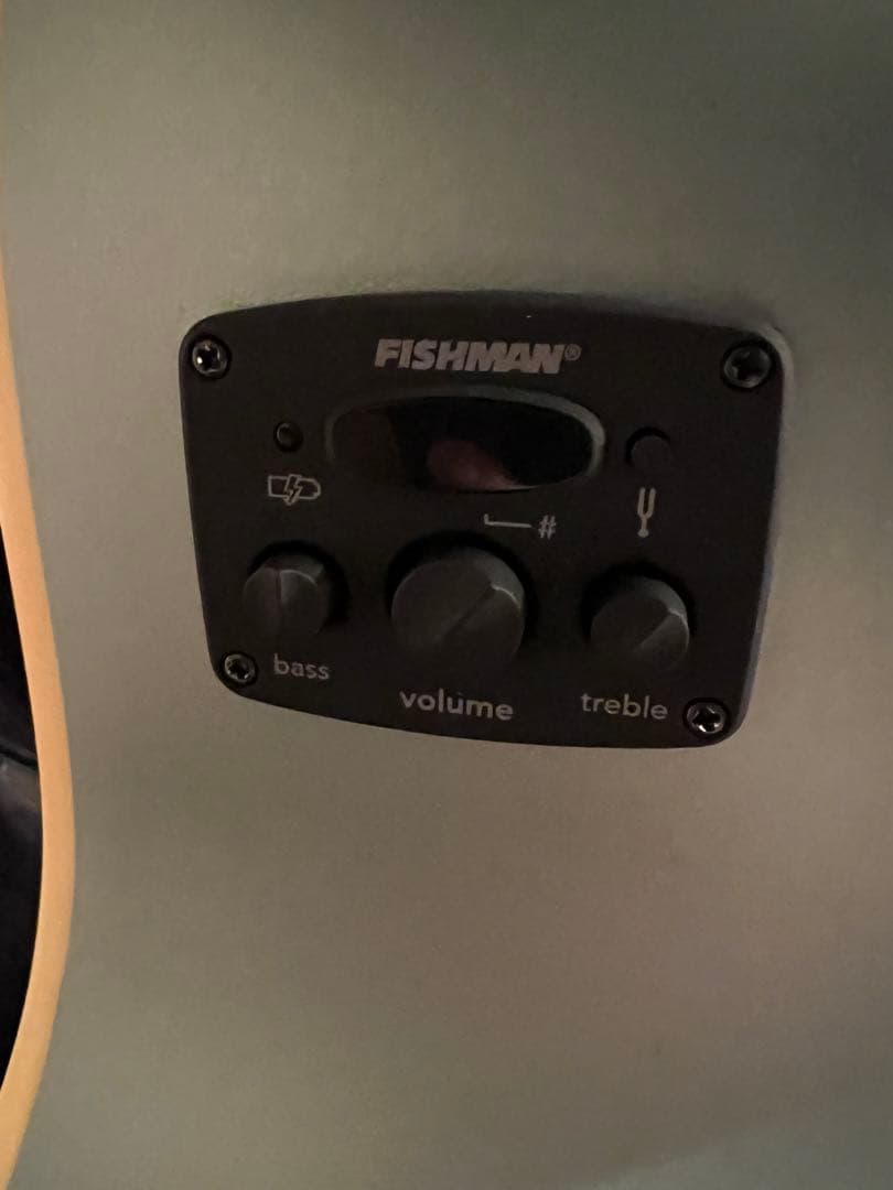 Fender エレアコ Ice Blue未使用品 ハードケース ソフトケース付き