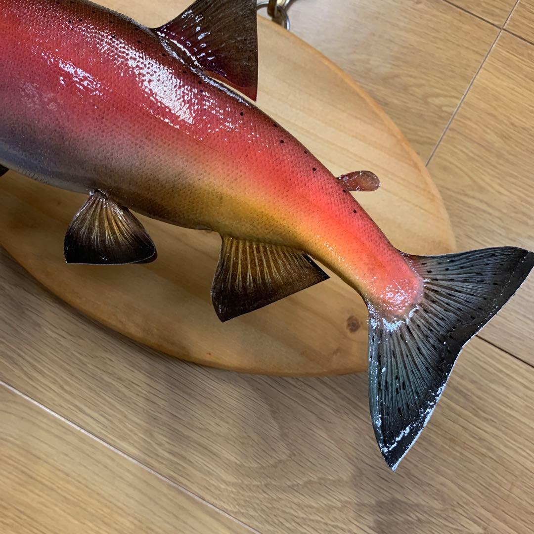 剥製　魚類剥製工房エフクラフト　晩秋の雄ヒメマス 33センチ 最終形態