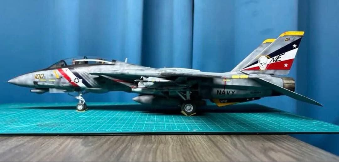 戦闘機　プラモデル　完成品　タミヤ　1/48　グラマン　F-14Dトムキャット