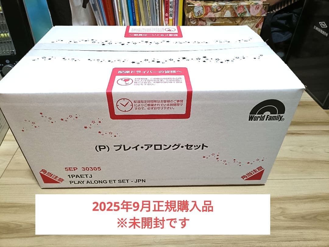 World Family プレイアロングセット　DWE