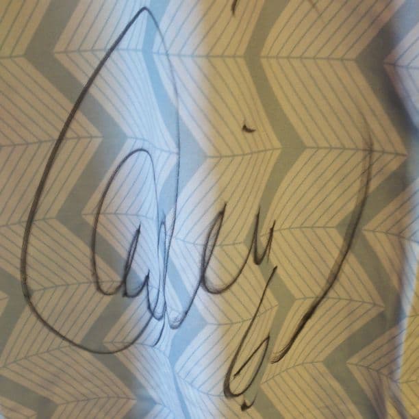 2017年 J3 栃木ＳＣ選手実仕様 アウェイ ユニフォーム長袖