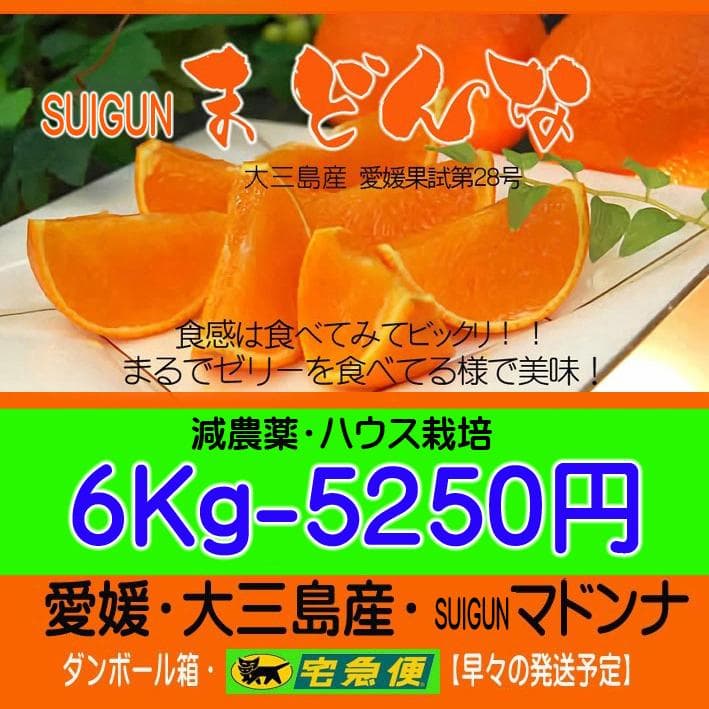 【由美子】SUIGUNマドンナM玉6Kg×2+6Kg++6Kg　３か所送り