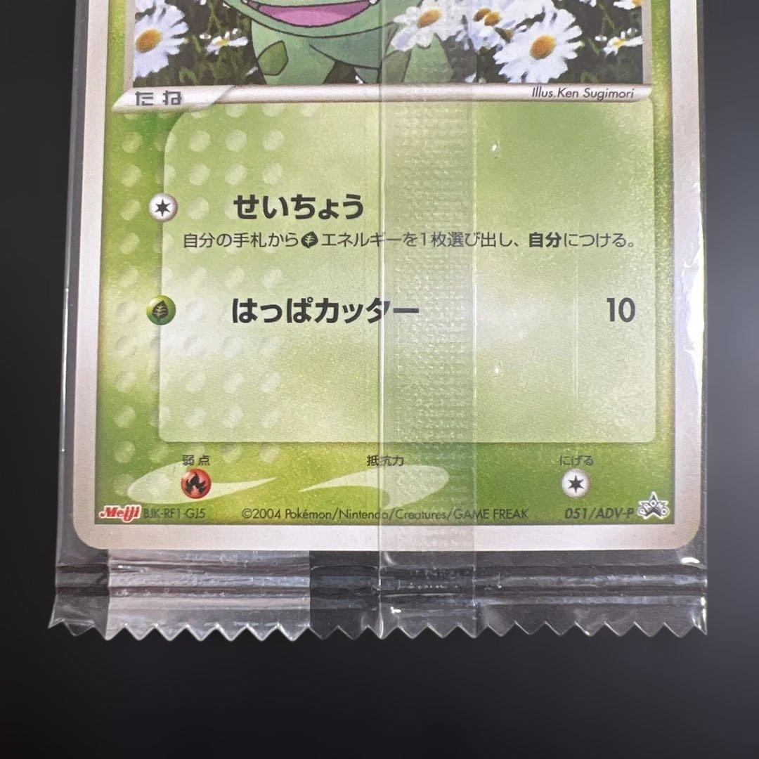 ポケモンカード　フシギダネ　明治チョコスナック　未開封プロモ