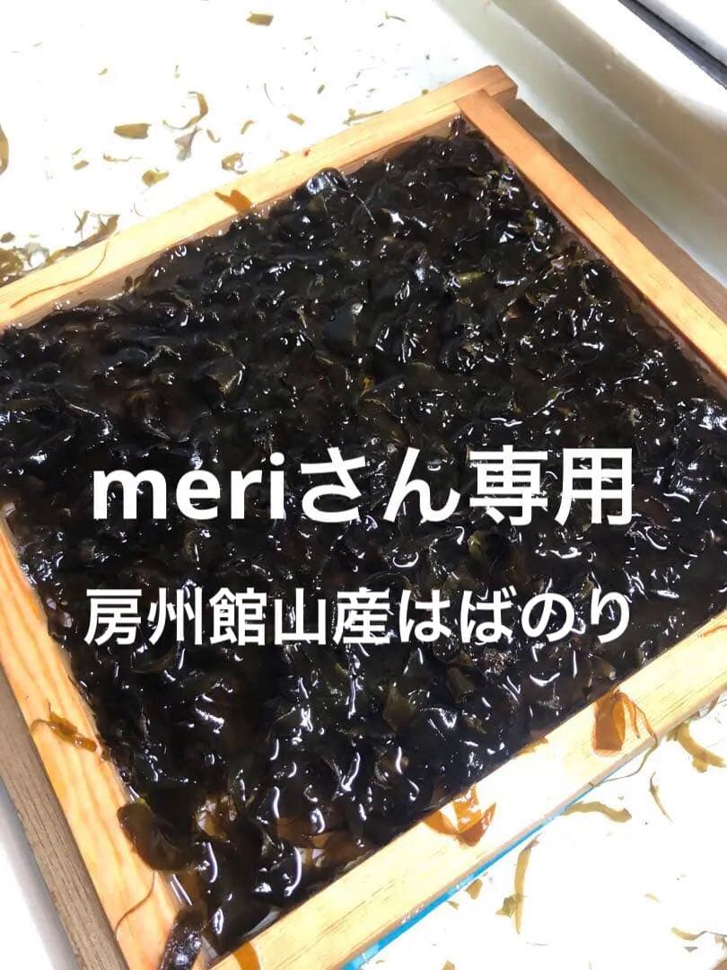 房州館山産はばのり✳︎100枚✳︎サービス10枚