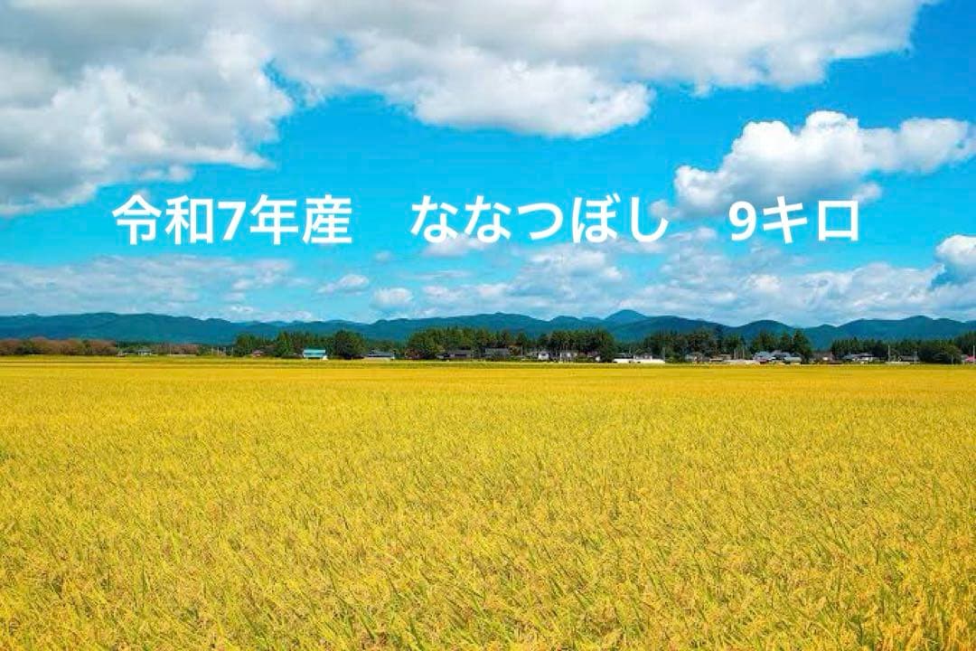 令和7年産　ななつぼし　9キロ