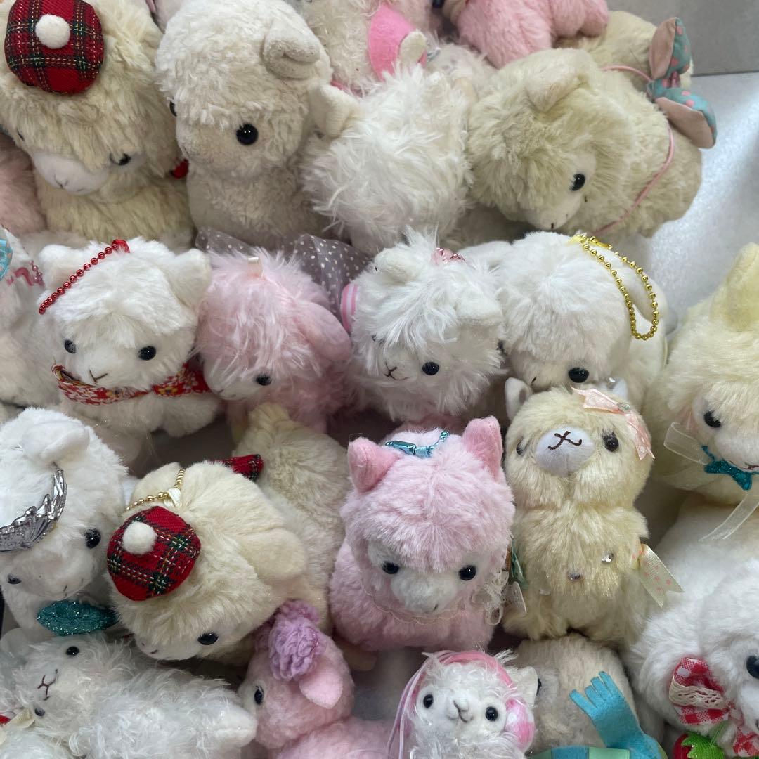 アルパカ　ぬいぐるみ　まとめ売り