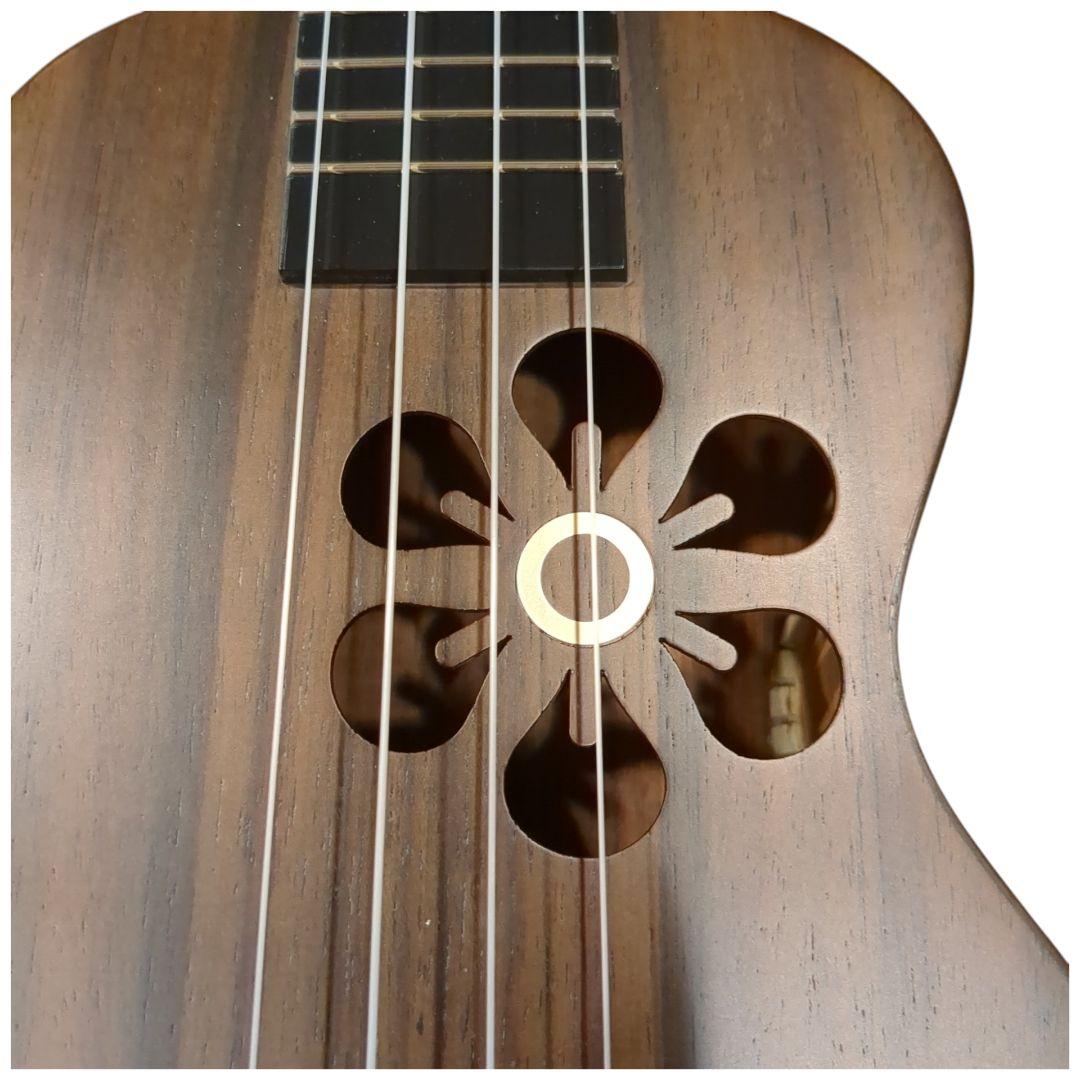 Populele S1 ポピュレレ 音響電気スマートギターウクレレコンサート