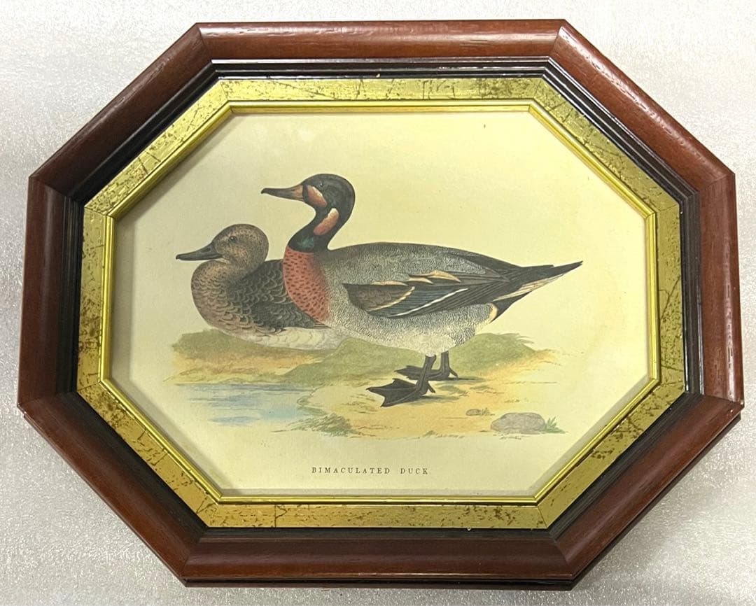 カモ画 アンティーク 調額縁 イタリア 輸入 額絵 天然木 フレーム インテリア