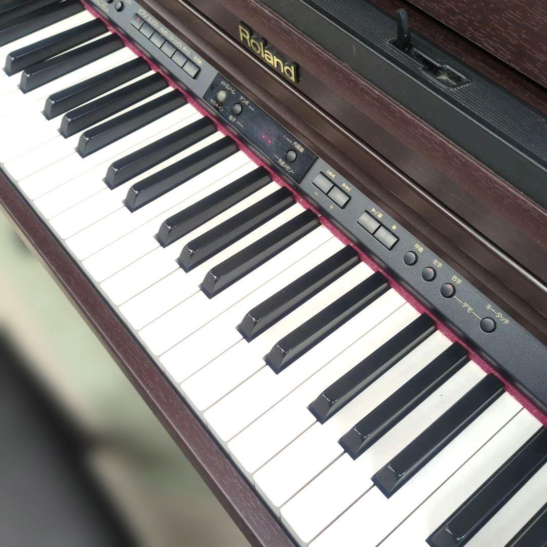 鍵盤楽器 ROLAND Digital Piano HP203
