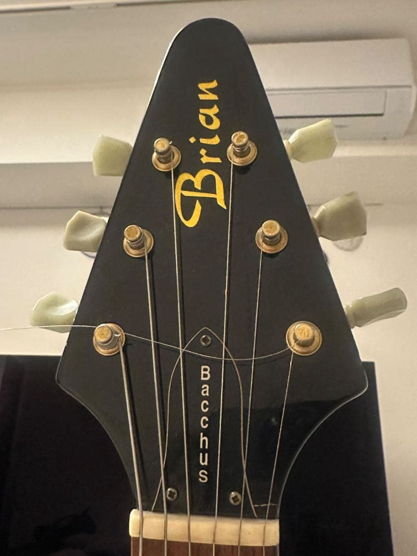 Bacchus Brian Flying V フライングV model