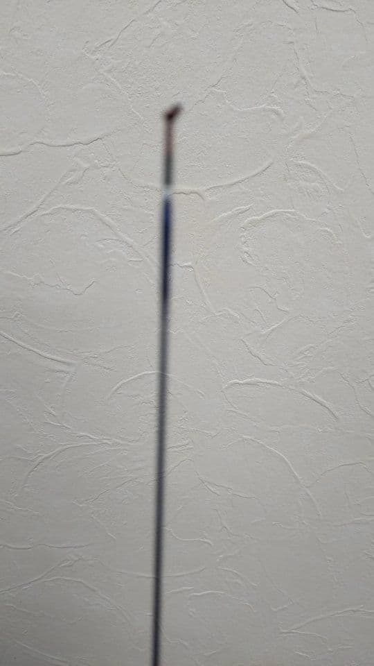 ヘラブナ 竿 ★ダイワ ヘラF 19尺