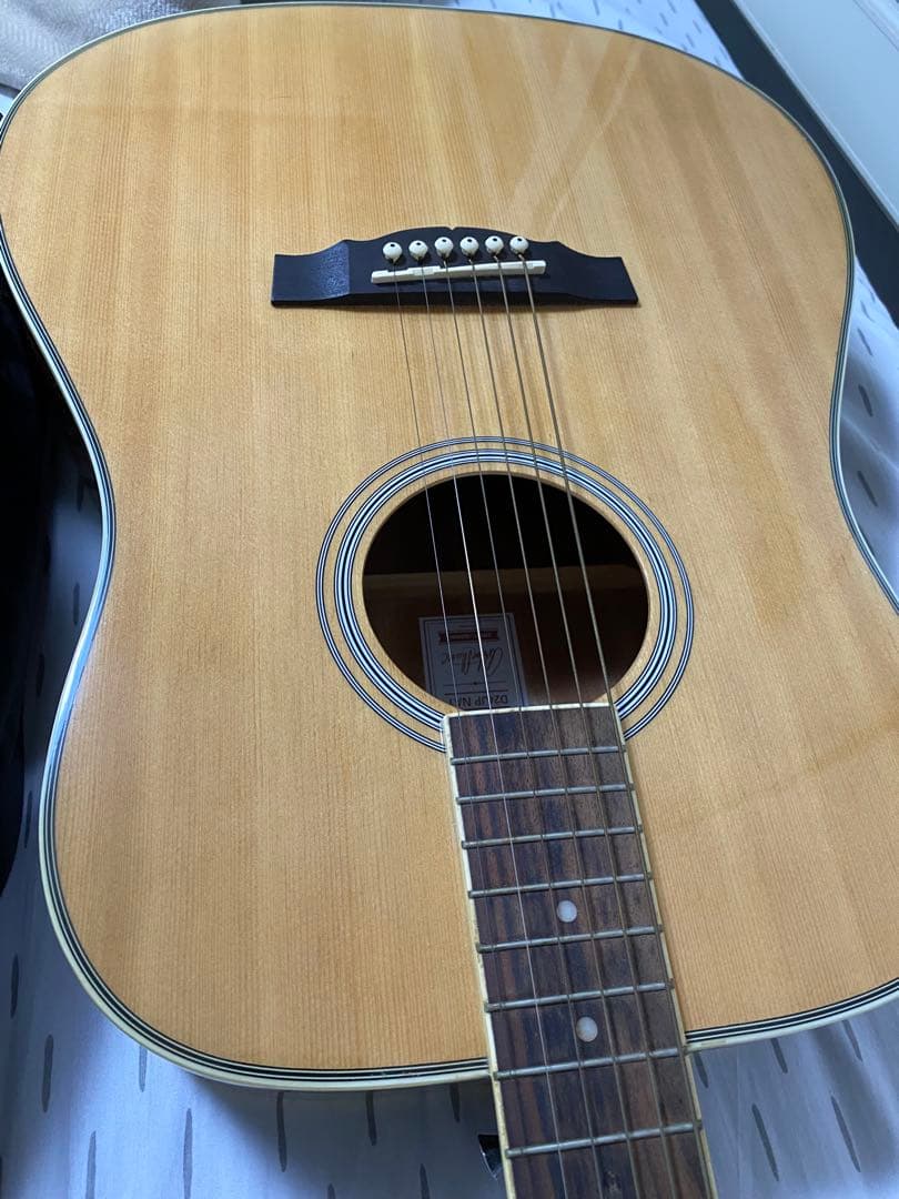 Ashton アコースティックギター ギターケース付き