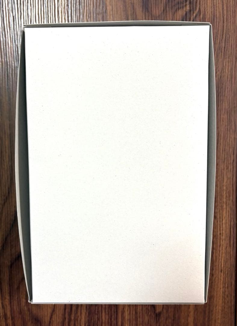 MG 1/100 RGM-79SP ジムスナイパーII ホワイト・ディンゴ隊仕様